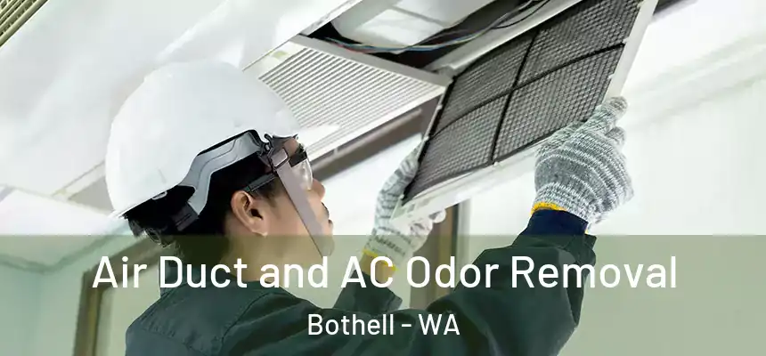 Air Duct and AC Odor Removal Bothell - WA