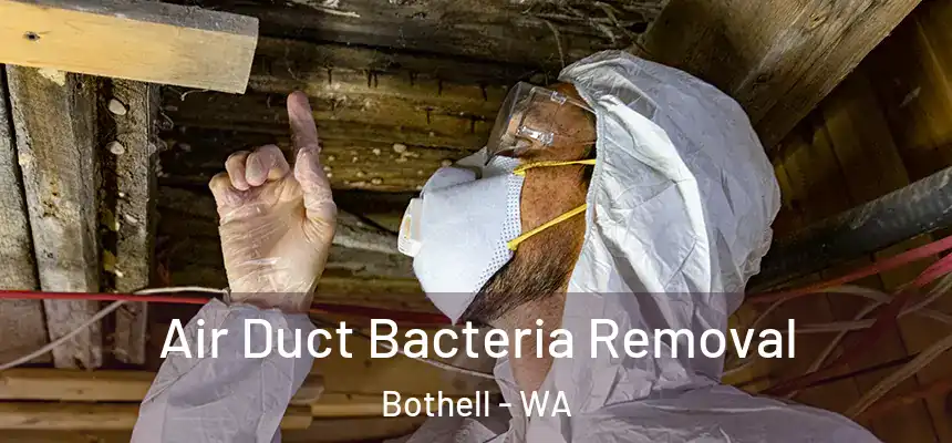 Air Duct Bacteria Removal Bothell - WA