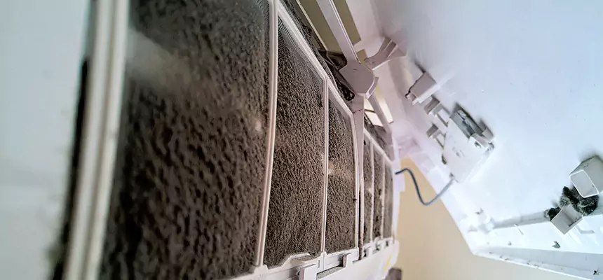 Preventive Air Duct Bacteria Removal in Bothell