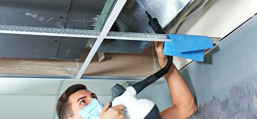 Our Air Duct Rodent Removal Services in Bothell, WA