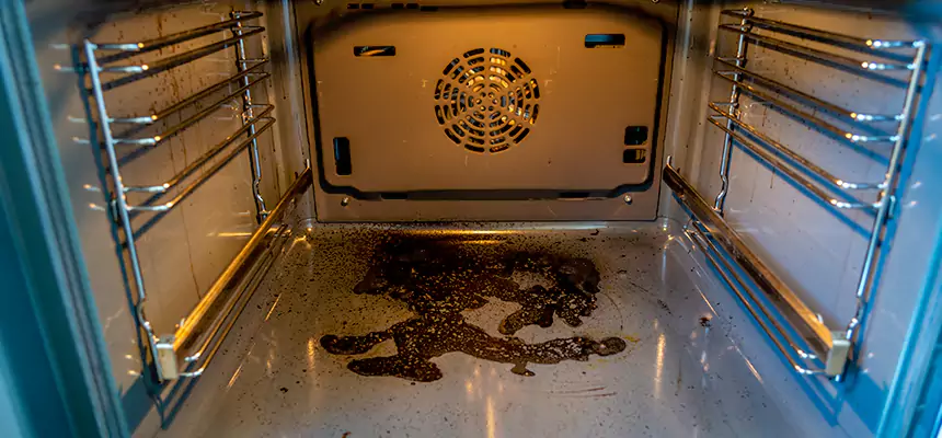 Our Dryer Vent Mold Cleaning Services in Bothell, WA