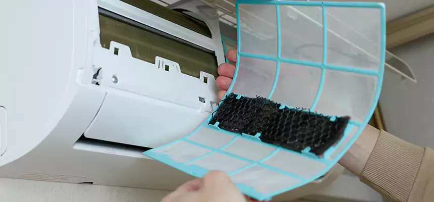 Gentle Ductwork Odor-Control Pet Dander Duct Cleaning in Bothell, WA