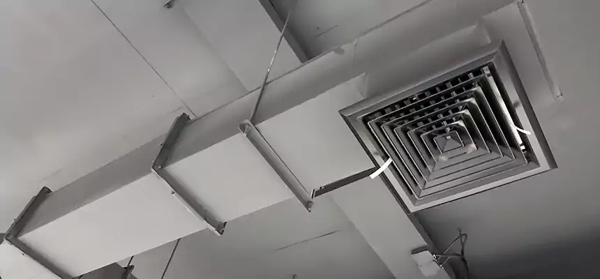 Our Rodent Droppings In Vents Services in Bothell, WA