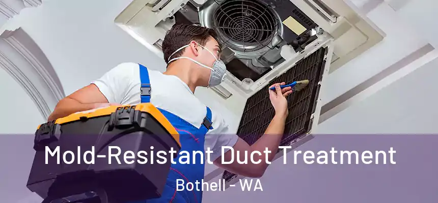  Mold-Resistant Duct Treatment Bothell - WA