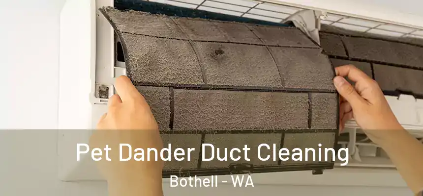  Pet Dander Duct Cleaning Bothell - WA