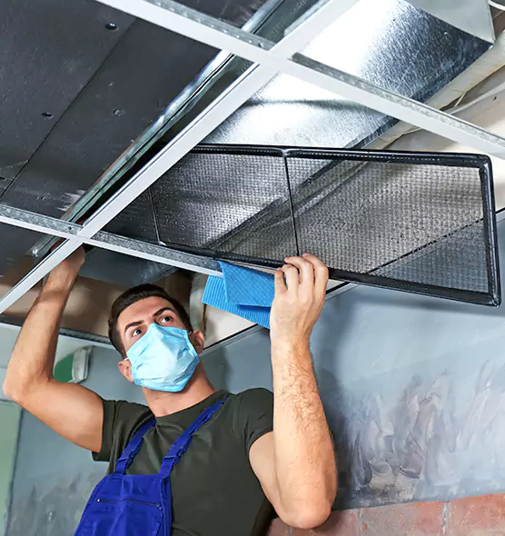 About Air Duct Bacteria Removal in Bothell