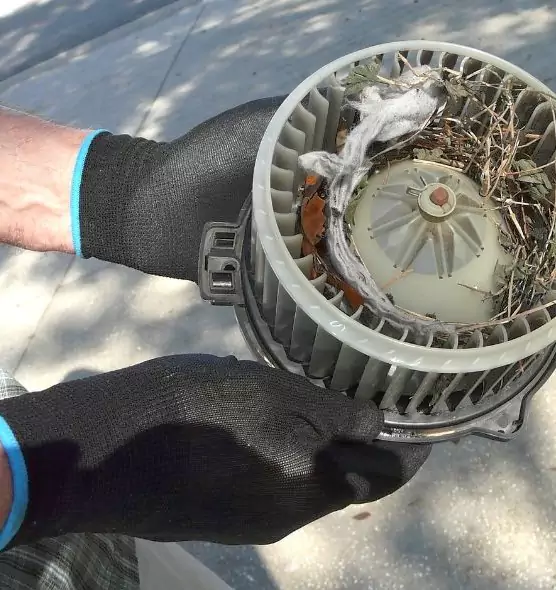 About Air Duct Mice Removal in Bothell, WA