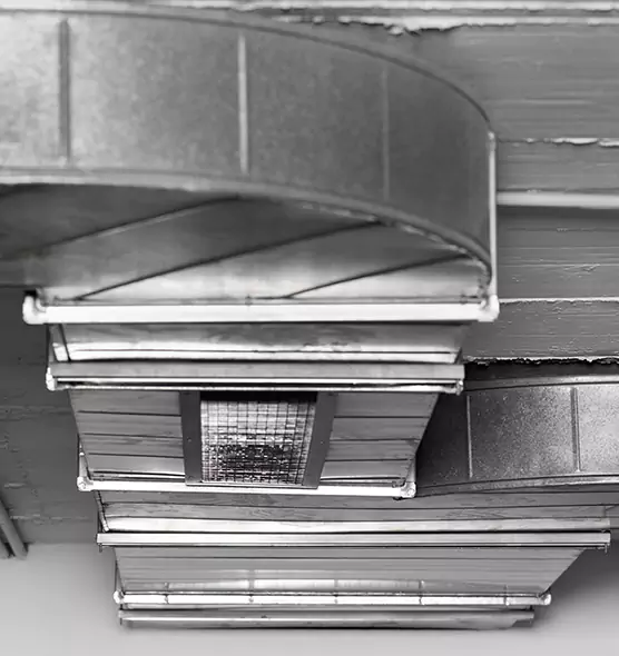 Professional Air Duct Pest Removal in Bothell, WA