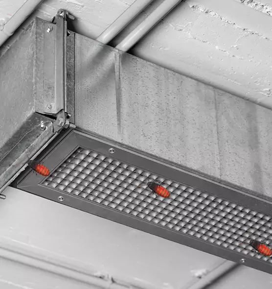 Affordable Insect Removal from Air Ducts in Bothell, WA