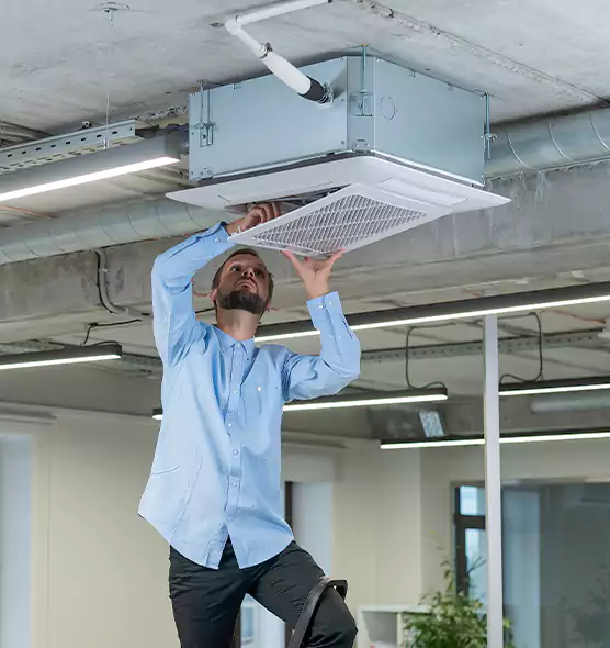 Advanced Rodent Droppings In Vents in Bothell, WA