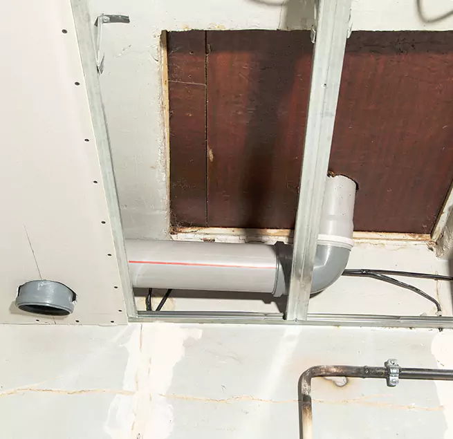 Why Homeowners & Businesses Trust Us in Bothell, WA?