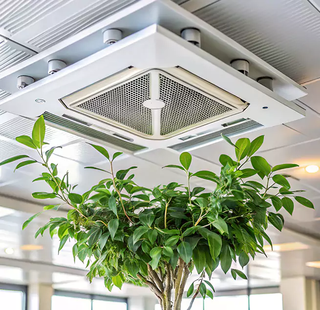 Why Homeowners & Businesses Trust Us in Bothell, WA?